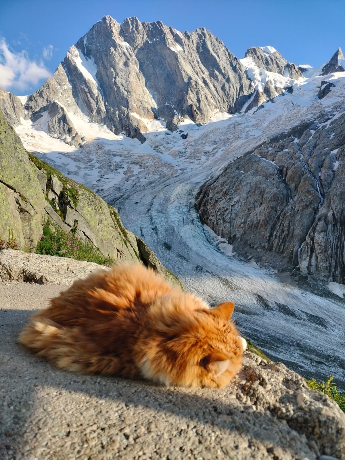 grandes jorasses refugio de lechaux